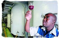 南非葡萄酒业大赚世界杯