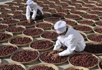 预计今年泽普县红枣产量将超过3万吨