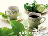 茶叶茶梗皆上品2/17