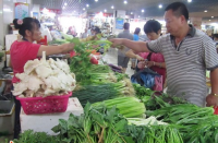 <b>台风引起海南蔬菜批发价都涨了</b>