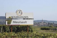 勃艮第默尔索是全球举世无双的顶级葡萄酒产区