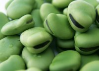 豆类蔬菜应加强肥水管理