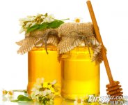 <b>【食品百科】蜂蜜的作用与功效</b>