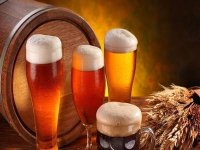 “原浆啤酒风”是未来啤酒市场发展趋势