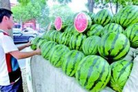 济南：西瓜产量少价格高