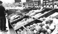 哈尔滨：13种蔬菜价格上涨