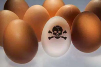 席卷16国的“毒鸡蛋”，让国人怎样放心吃鸡蛋？